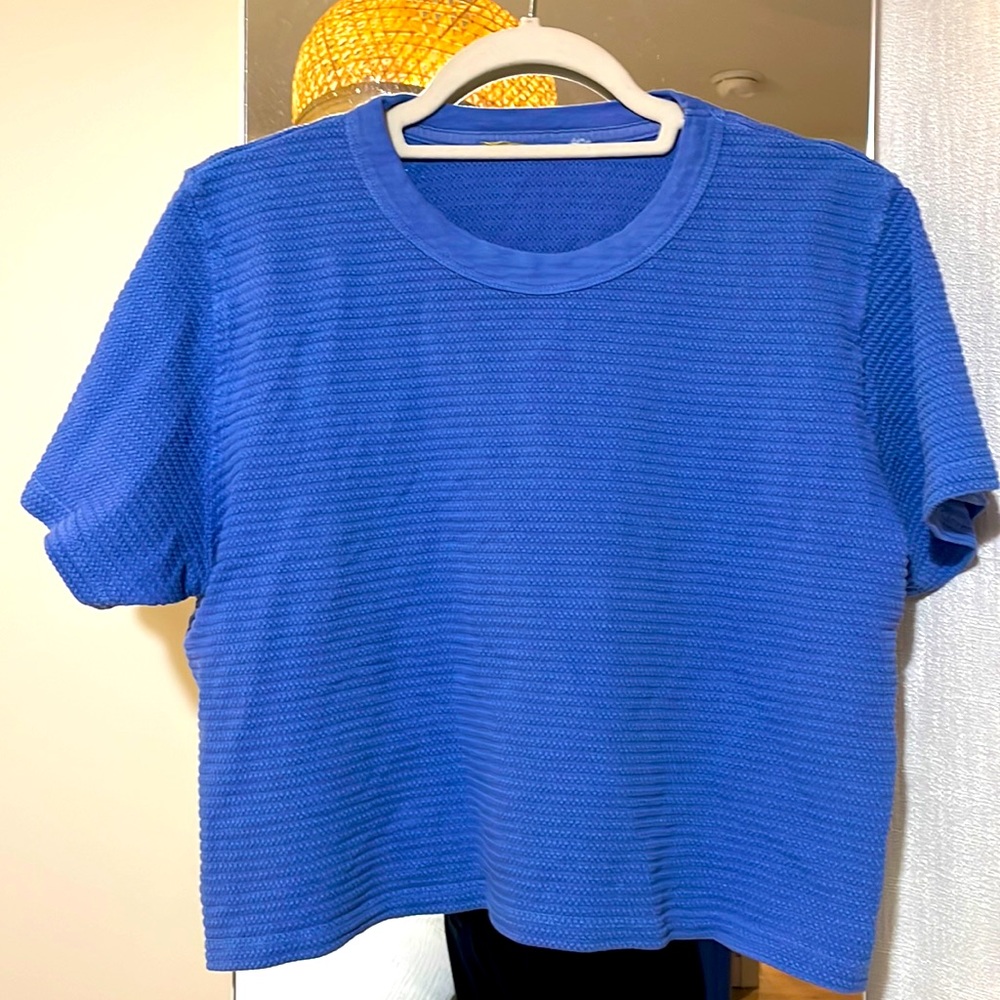 Big Bud Press textured cropped tee in small